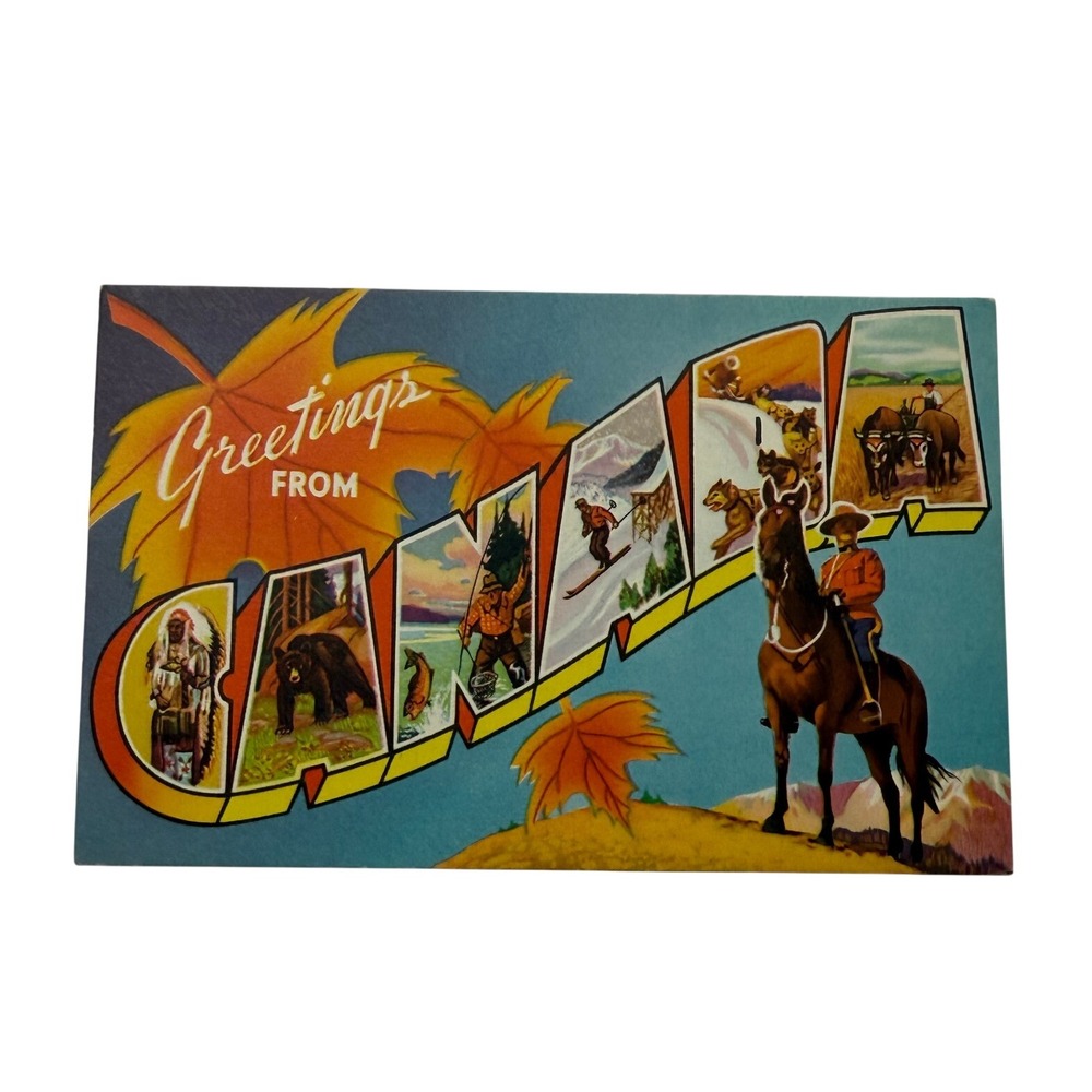 Vintage Greetings from Maine Large Letter Postcard